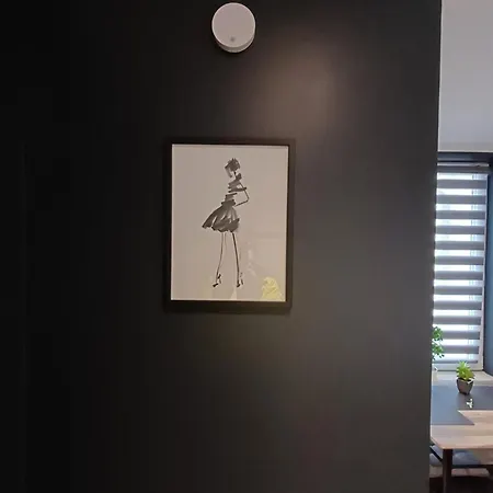 דירה 6 פאדרבורן